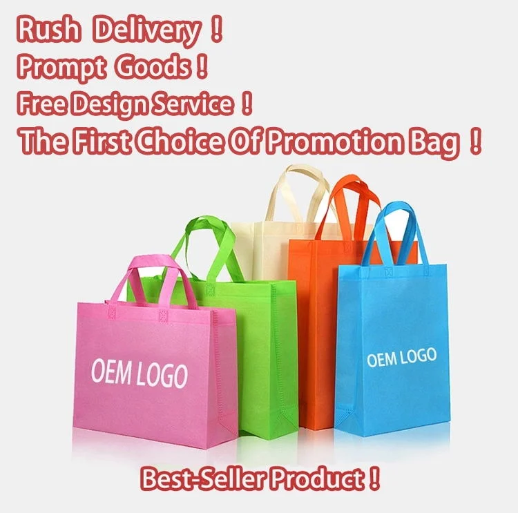 Whole Sale Promotional Reusable Eco PP Non Woven Shopping Bag